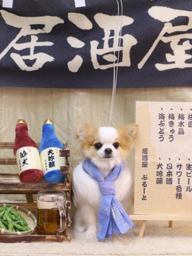 20240619りくくん